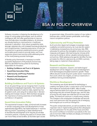 BSA AI Policy Overview