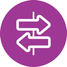 Cross-Border Data icon