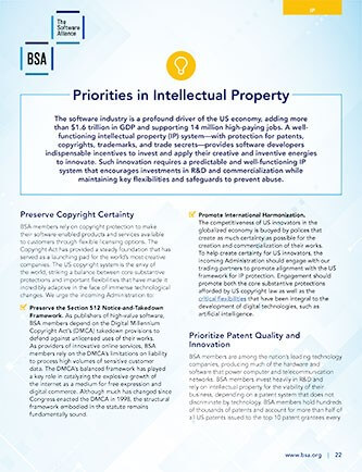 BSA Priorities in IP cover