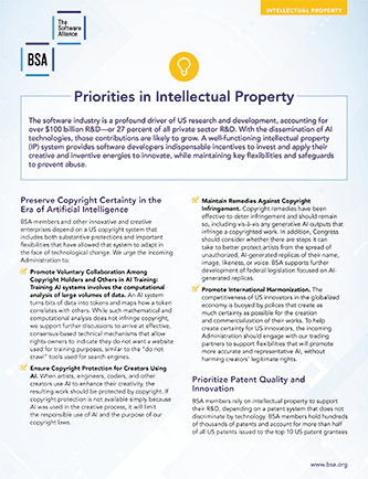 Priorities in Intellectual Property cover