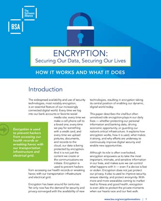 Encryption: Why It Matters
